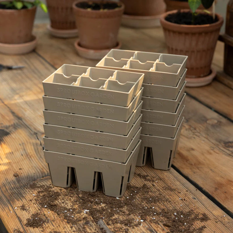 6-Cell Seed Starter