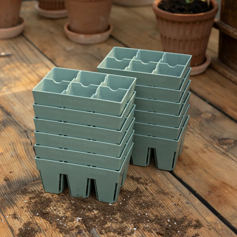6-Cell Seed Starter