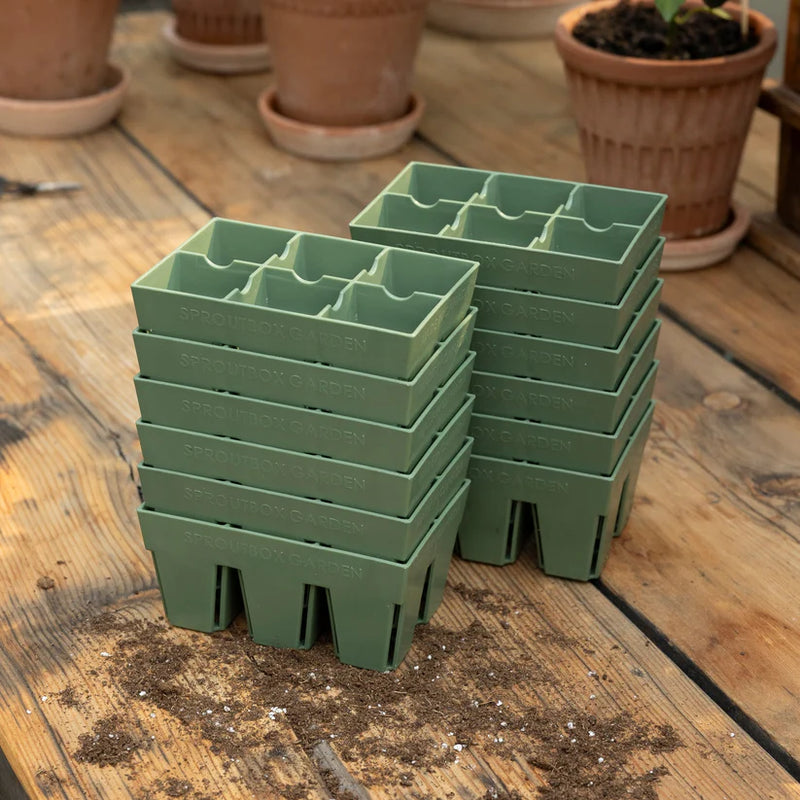 6-Cell Seed Starter