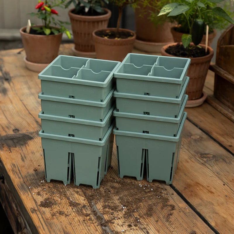 4-Cell Seed Starter