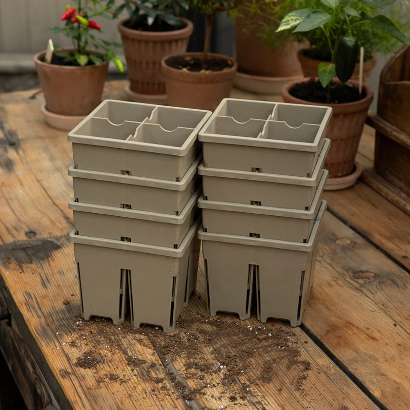 4-Cell Seed Starter