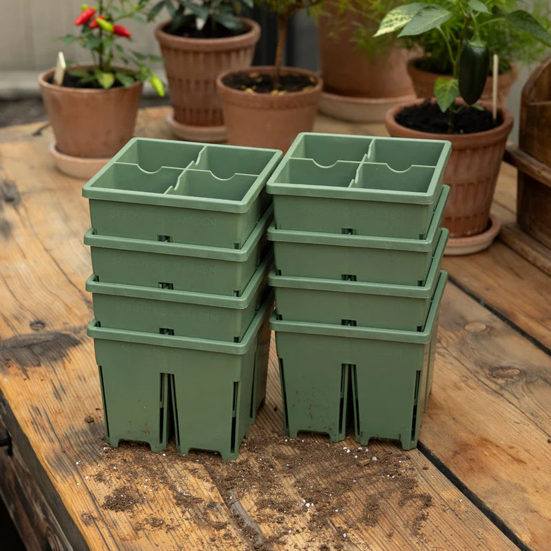 4-Cell Seed Starter