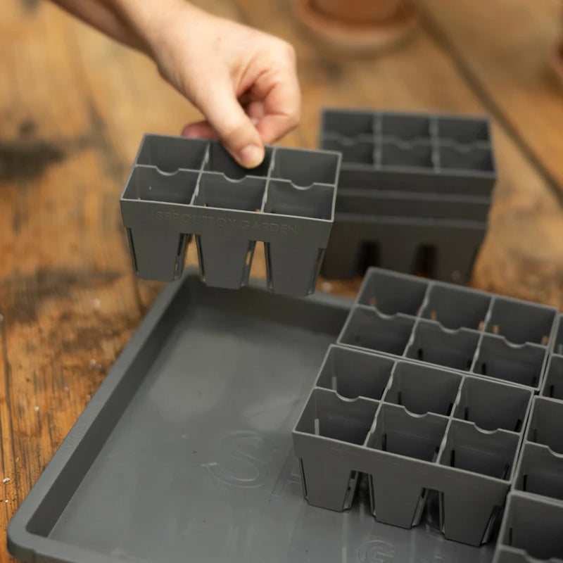4-Cell Seed Starter