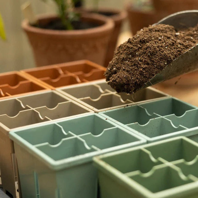 Person filling small green containers with soil using a scoop.