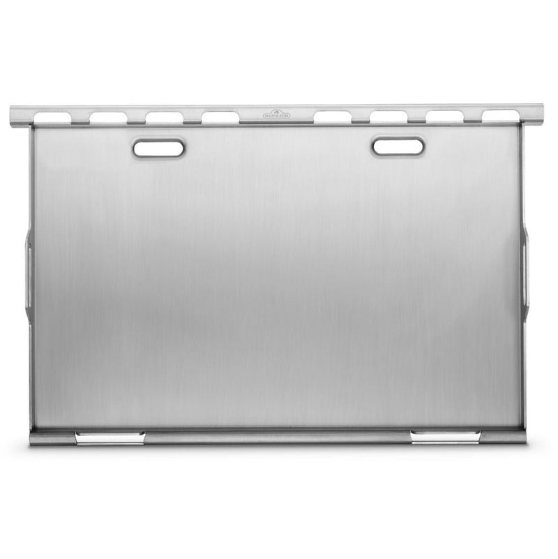 Metallic license plate on a white background